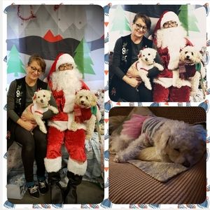 TY🎄Merry Holiday Wishes🎄 &🥳 Happy New Year! 🎆